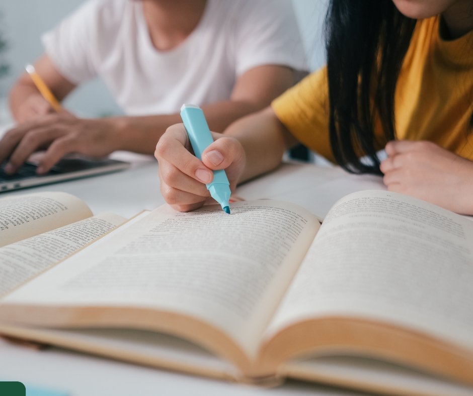 Bridge Learning Program